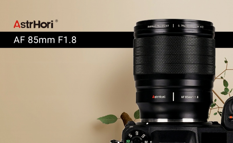 �u�Â��ɑ����A������������B�v 