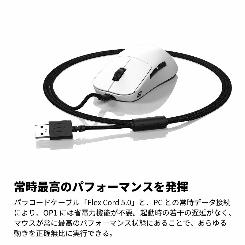 �펞�ō��̃p�t�H�[�}���X�𔭊�