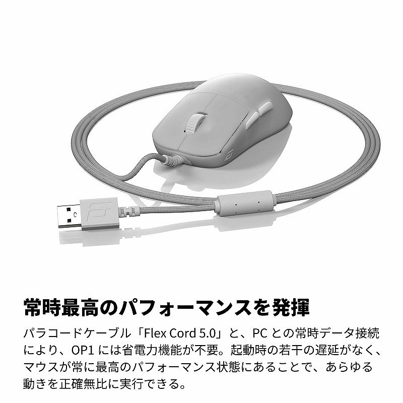 �펞�ō��̃p�t�H�[�}���X�𔭊�