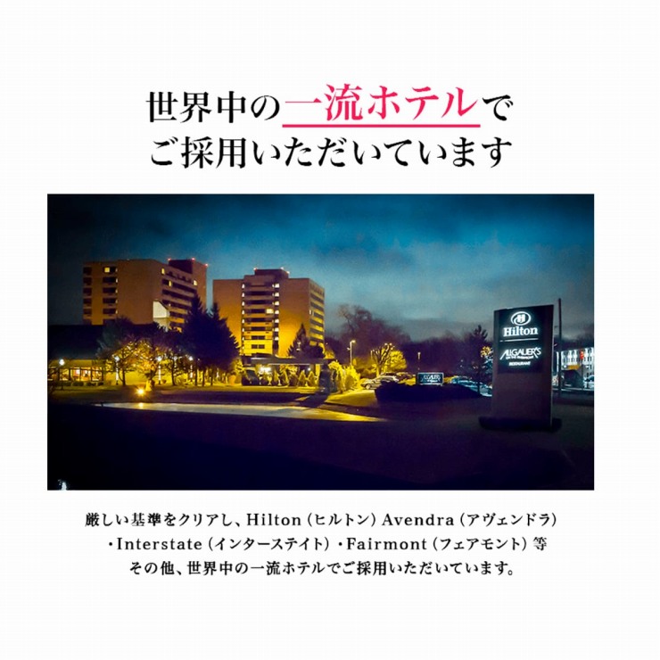 ���E���̈ꗬ�z�e���ł��̗p���������Ă��܂�