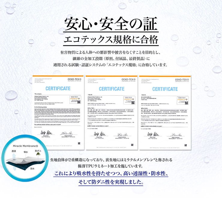 ���S�E���S�̏؁@�G�R�e�b�N�X�K�i�ɍ��i