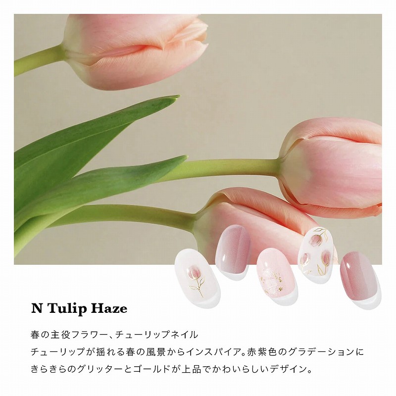 N Tulip Haze