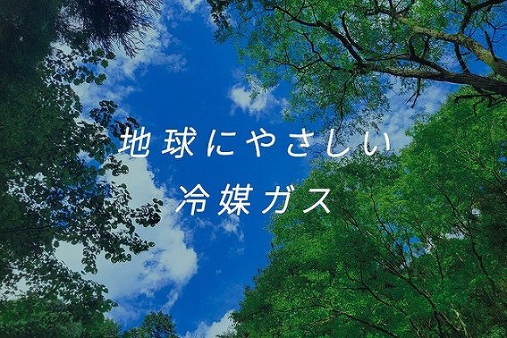 nɂ₳}KXuR1234yfv̗p