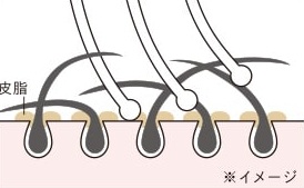 �͂��荞��