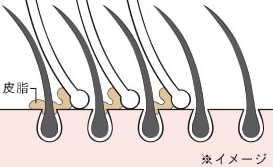 �����o��