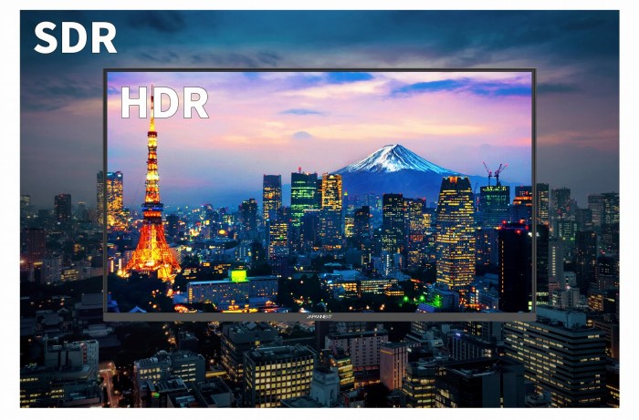 ���A���ɔ������F�N�₩�ȉf���̌�