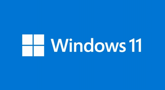 Windows 11 Pro�v���C���X�g�[��