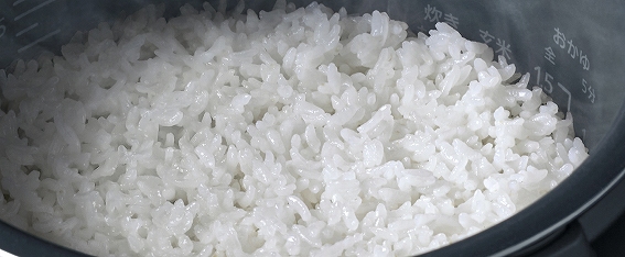 ���Ă̏�Ԃ����ɂ߂čœK�ɐ��������A���������������o���B�܂�ŏ��̋Z�B