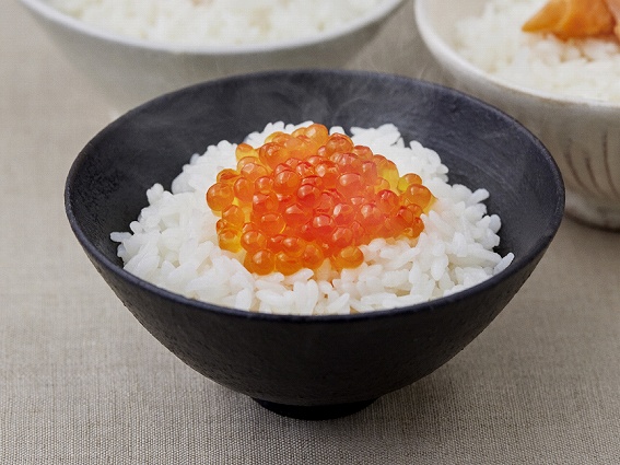 �����݂��͂�⌺�Ă��ȒP��