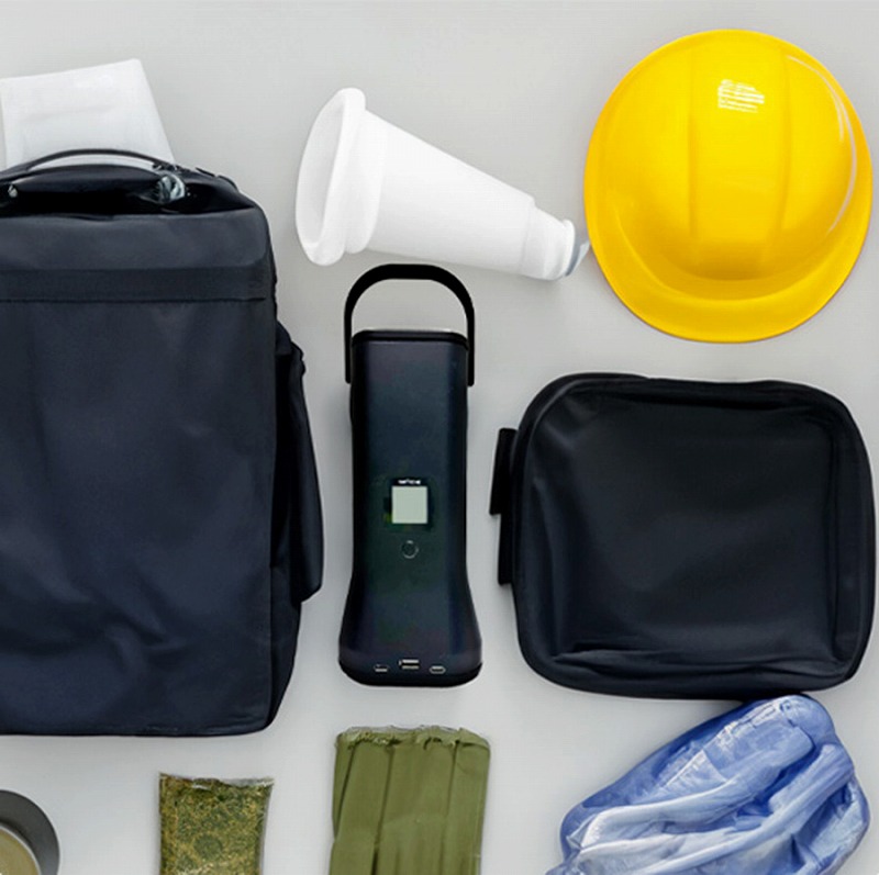 �ЊQ�ɔ�����