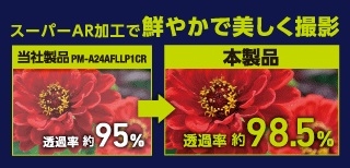 ���������x������