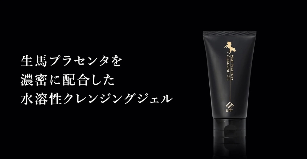 ���n�v���Z���^��Z���ɔz���������n���N�����W���O�W�F��