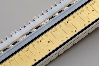 �T�r�ɂ������[�h