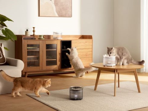 �R�[�h���X������ǂ��ɂł��u���܂�