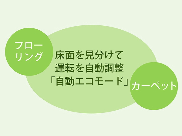 �����G�R���[�h�ŏȃG�l