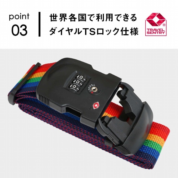 ���E�e���ŗ��p�ł���_�C����TS���b�N�d�l