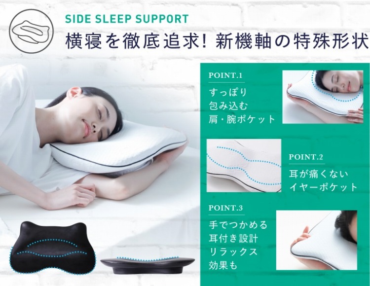 ���Q��O��ǋy�@�V�@���̓���`��