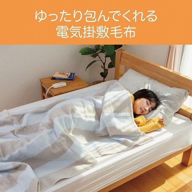 ���������ł����d�C�|�~�ѕz