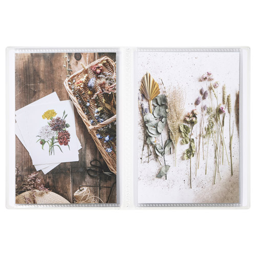 KG�T�C�Y�̎ʐ^��n�K�L�A�|�X�g�J�[�h�Ȃǂ�20�����[