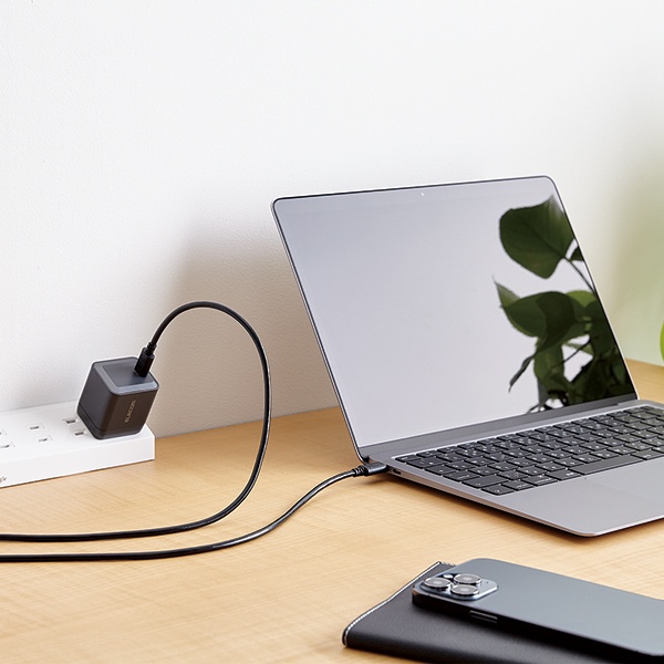 USB Power Delivery�Ή�