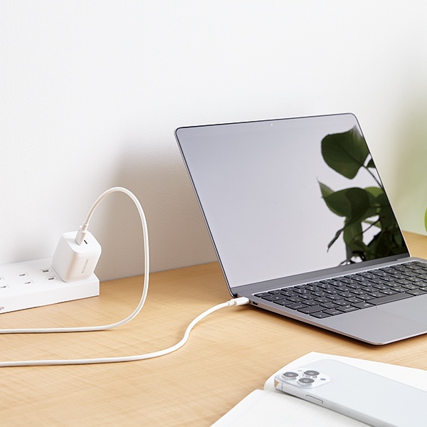 USB Power Delivery�Ή�