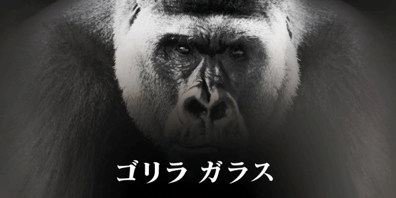 �������S�����K���X�̗p