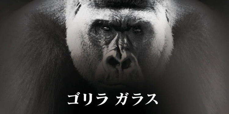 �������S�����K���X�̗p