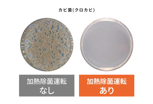 �y�x�m�ʃ[�l���� �S�N�g nocria�i�m�N���A�j DN�V���[�Y�z���M���ہ@�M�������ŃJ�r������