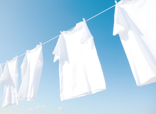 �y�g�[�����^ �m�N���A nocria ZN�V���[�Y�z ���������������󕨂�f�����������芣�����܂��B