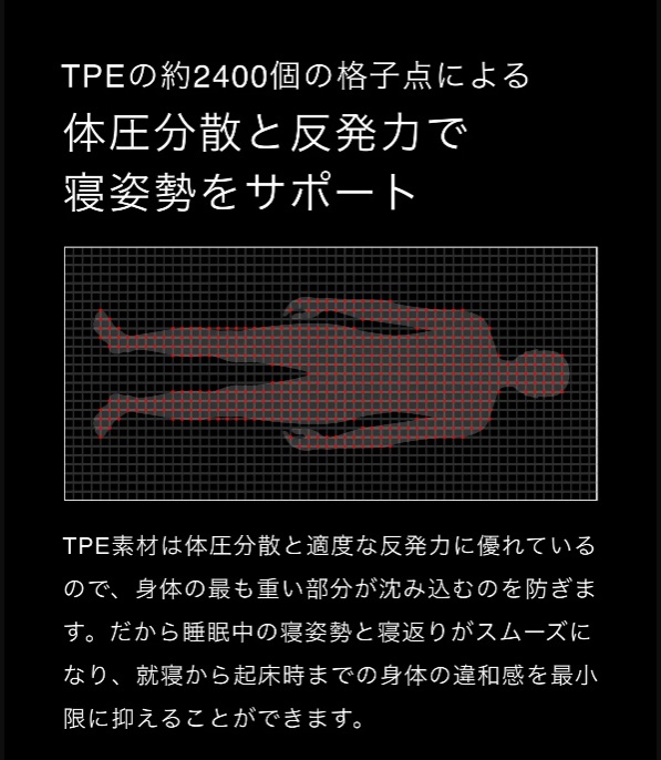 TPE�̖�2400�̊i�q�_�ɂ�� �̈����U�Ɣ����͂ŐQ�p�����T�|�[�g