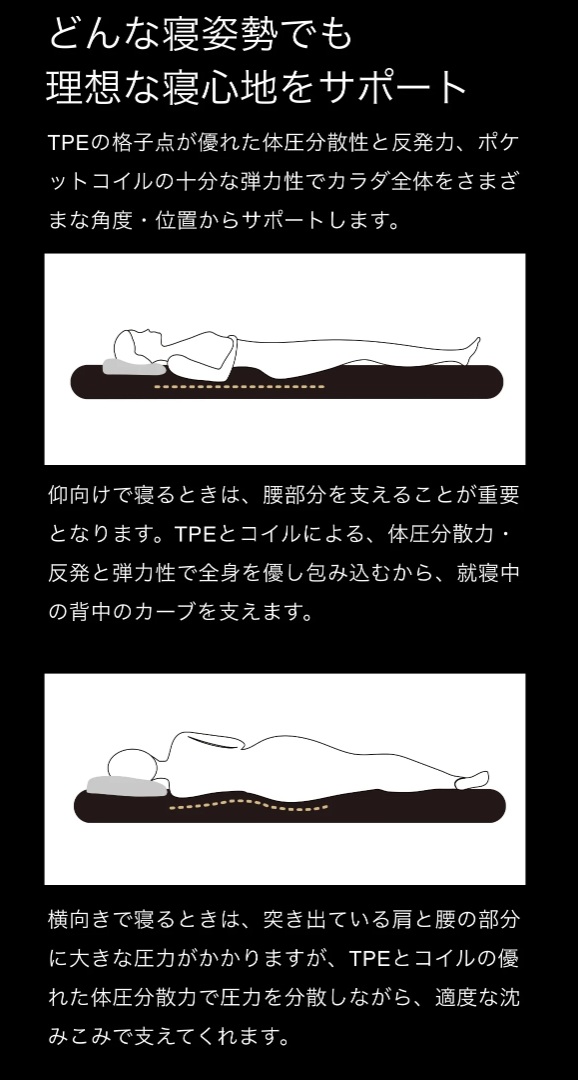 �ǂ�ȐQ�p���ł� ���z�ȐQ�S�n���T�|�[�g