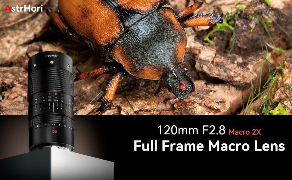 �B�e�{��2�{�̈��|�I�Ȋg��\��