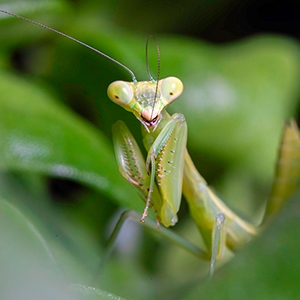 �B�e�{��2�{