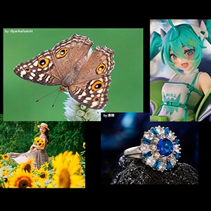 13���̉~�`�i��