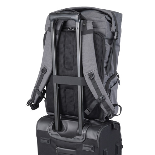 �L�����[�I���z���_�[