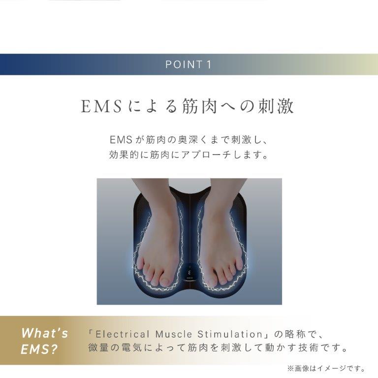 EMS���ؓ��̉��[���܂Ŏh�����A���ʓI�ɋؓ��փA�v���[�`���܂�