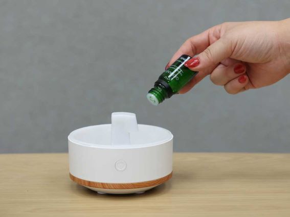 �A���}�f�B�t���[�U�[