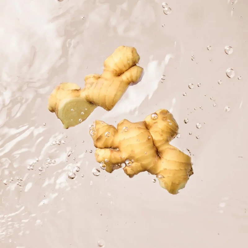 �n�����߂��ꁦ3�A �Y�_�W���W���[��4 ��l�̃c������