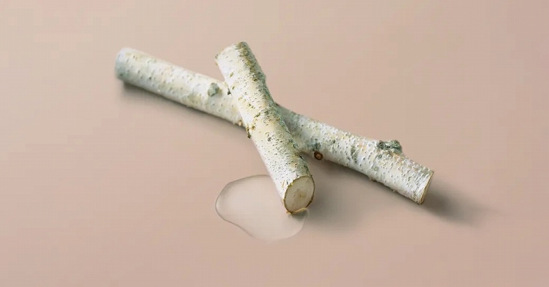 �������y�G�L�X��3