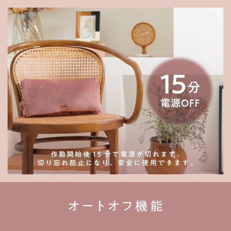 15���I�[�g�I�t�@�\�Ő؂�Y��h�~