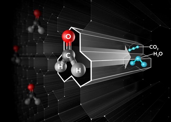 �z�����A���f�q�h��A���I�ɕ���