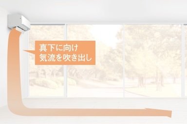 �~�́A�ǂ��瑫���։����肪�`���C���ŁA�����������B