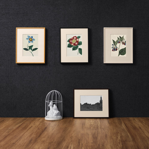 �g�p�C���[�W