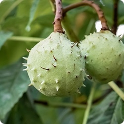 �}���j�G�G�L�X