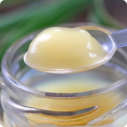 ���[�����[���[�y�v�`�h