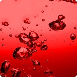 �V�A�m�R�o���~��