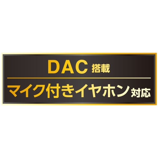�������Ŋy���߂�DAC����