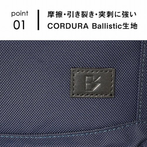 ���C�E�����􂫁E�ˎh�ɋ������n