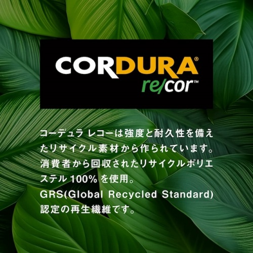 GRS�F��̍Đ��@��