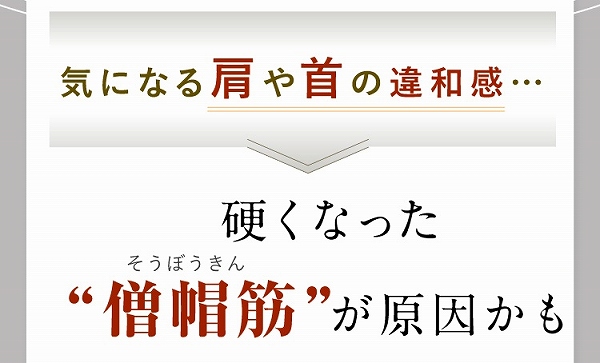 �C�ɂȂ錨���̈�a���ɁE�E�E